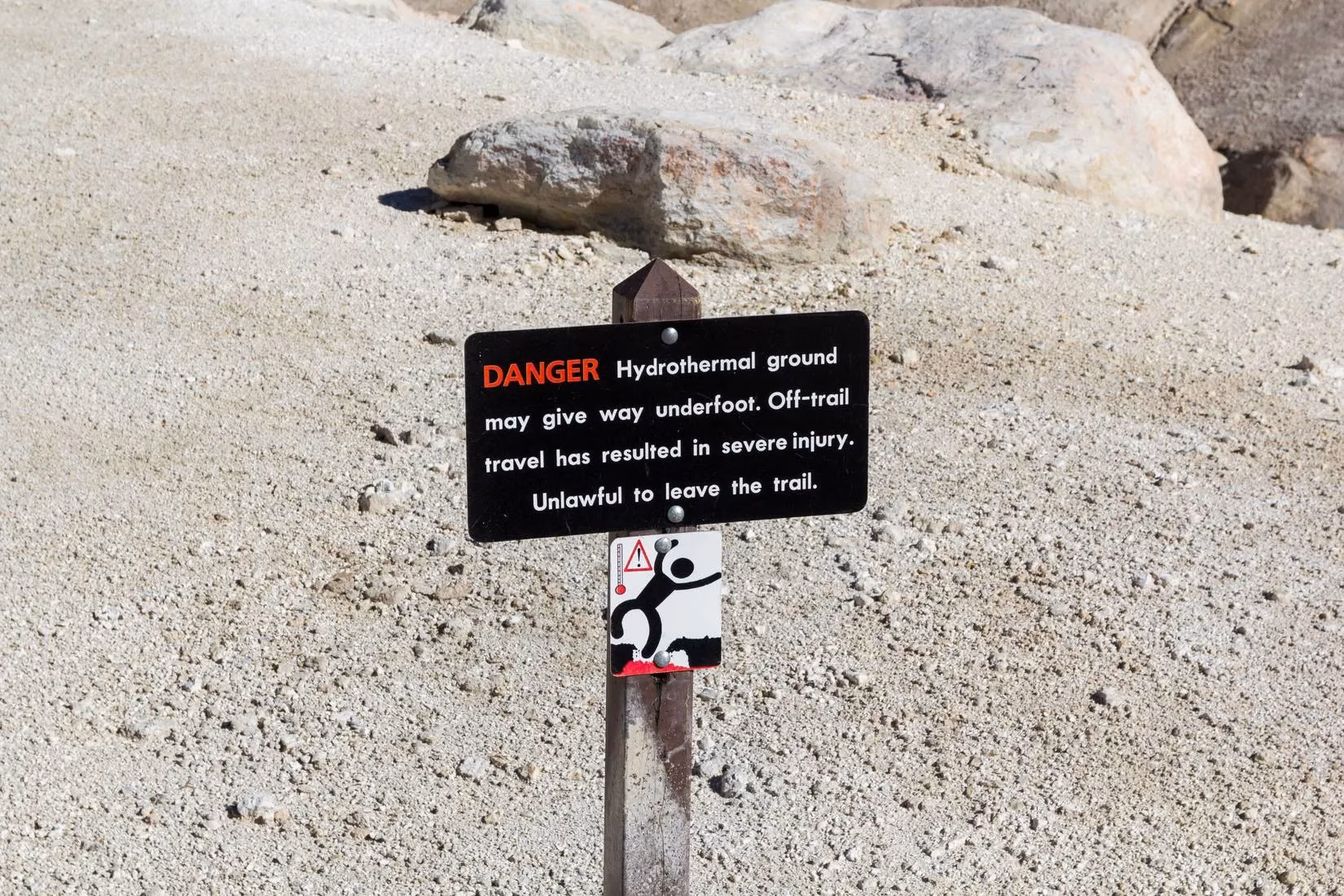 my-yellowstone-journey-seeing-rule-breakers-in-action-image-2