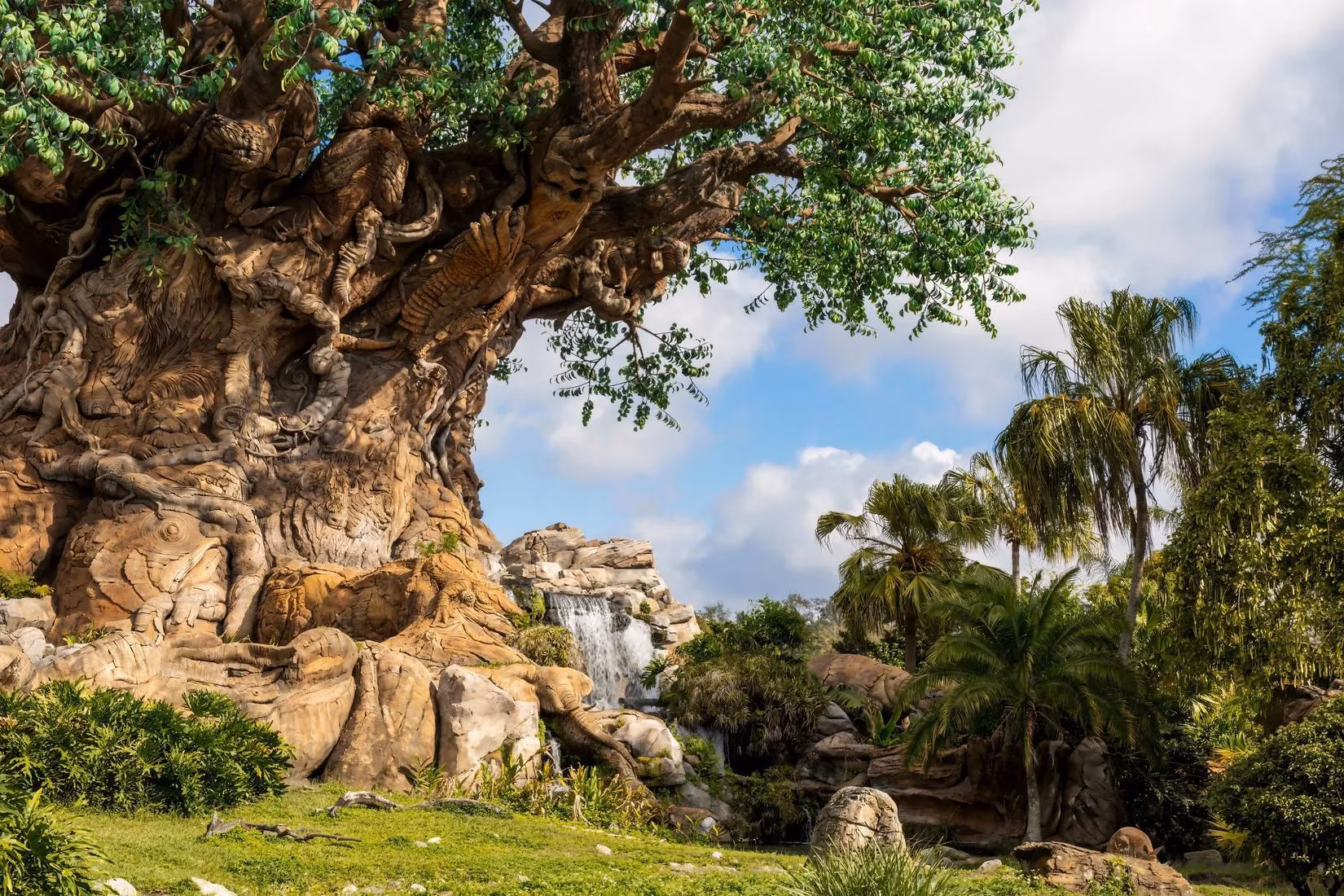 disney-animal-kingdom-safari-incident-a-gamer-s-insight-on-staff-heroics-image-2